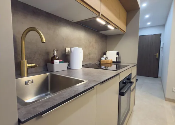 Modern With Alpine Charm In Appartamento *